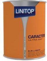 Linitop Caractère Ultra Mat muren & plafonds - Spicy Orange 2.5L - Binnen