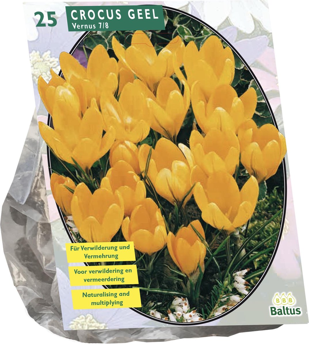 Baltus - Crocus Grootbloemig Geel per 25 bloembollen