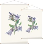 Ruig Klokje (Nettle Leaved Bellflower) - Foto op Textielposter - 120 x 180 cm