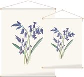Hyacinthus (Hyacinth) - Foto op Textielposter - 120 x 160 cm