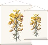 Ulex (Furze) - Foto op Textielposter - 45 x 60 cm