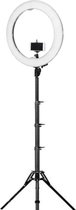 Statief met ringlamp / Ringlamp met statief - Ringlamp met statief smartphone - Statief smartphone - Tiktok lamp / Tiktok statief - Statief iPhone - Ringlamp Smartphone - Tiktok lamp met tele