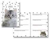 Katten Agenda 2021