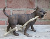 hondenbeeldje Staffordshire Bull Terriër met tak brindle