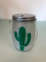 Lampion - cactus - glas