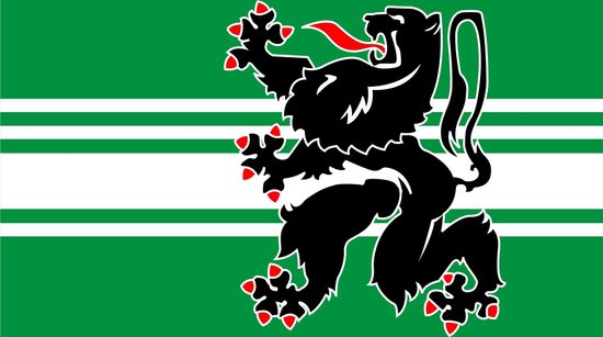 Drapeau Flandre Orientale 200x300cm