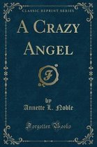 A Crazy Angel (Classic Reprint)