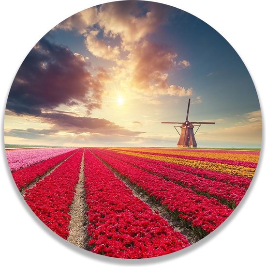 Cercle mural Hollands Tulipveld