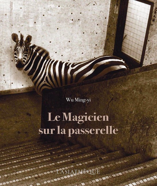 Le Magicien sur la passerelle - cover