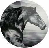 Paard zwart-wit close up| 30 x 30 CM | Dieren op plexiglas | Wanddecoratie | Dieren Schilderij | 5 mm dik Plexiglas muurcirckel