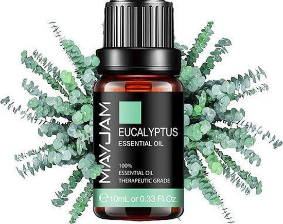 Interpersoonlijk kanker garage Eucalyptus Etherische Olie - Essential Oil Eucalyptus | bol.com
