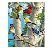 Schilderen op nummer Vogeltjes in een boom 40x50