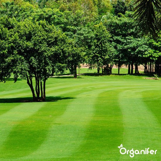 Engrais Granule de Chaux enrichi en magnésium (5Kg - Pour 100m2) pour un vert plus profond des feuilles (+ PH) Spécialement pour les pelouses, les plates - bandes , le potager et la verdure publique - Organifer
