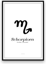 Schorpioen - Poster - A3 formaat