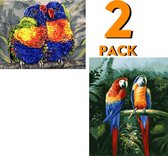 DIY Schilderen op Nummer - Verven op nummer - Paint by Number - Dieren Vogels - Voor Kinderen/Volwassenen/Senioren/Hobby - 2 stuks - 40x50cm