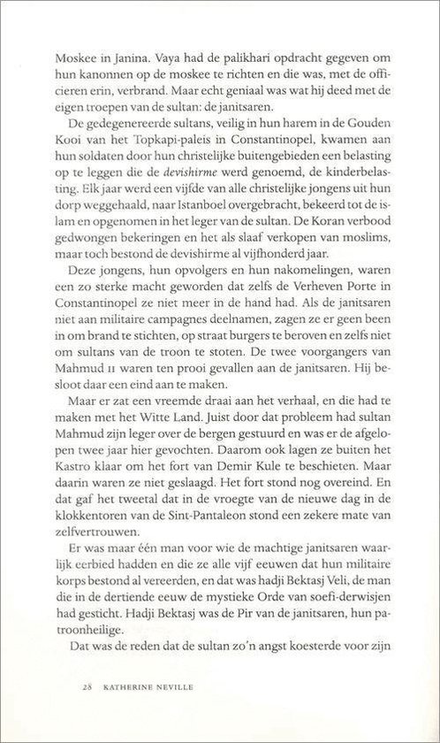 Het Vuur