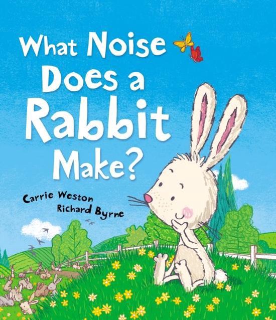 What Noise Does a Rabbit Make? 9781849395595 Carrie Weston Boeken