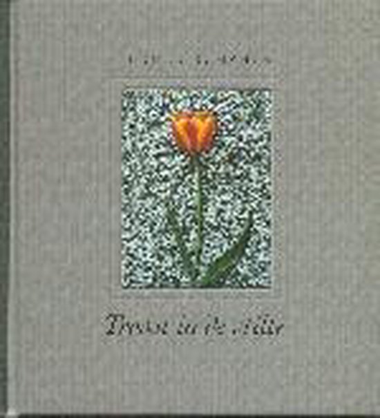 Troost In De Stilte - cover