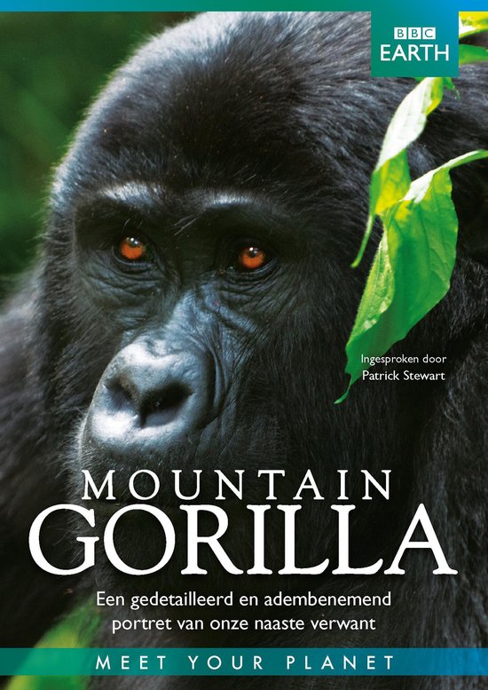 Cover van de film 'BBC Earth - Mountain Gorilla'