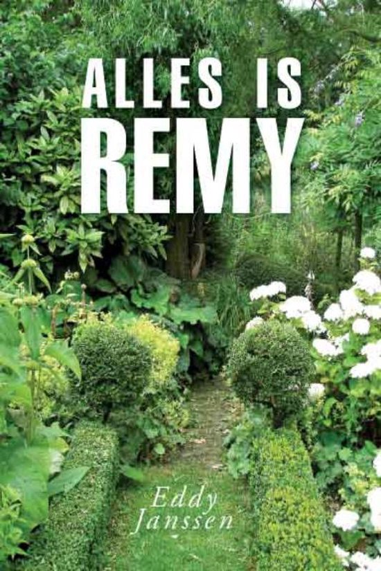 Cover van het boek 'Alles is Remy' van E. Janssen