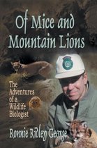Of Mice and Mountain Lions