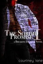 The Breaking Insanity Series 1 - The Sordid Promise