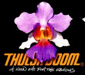 Thulsa Doom - A Keen Eye For The Obvious (CD)