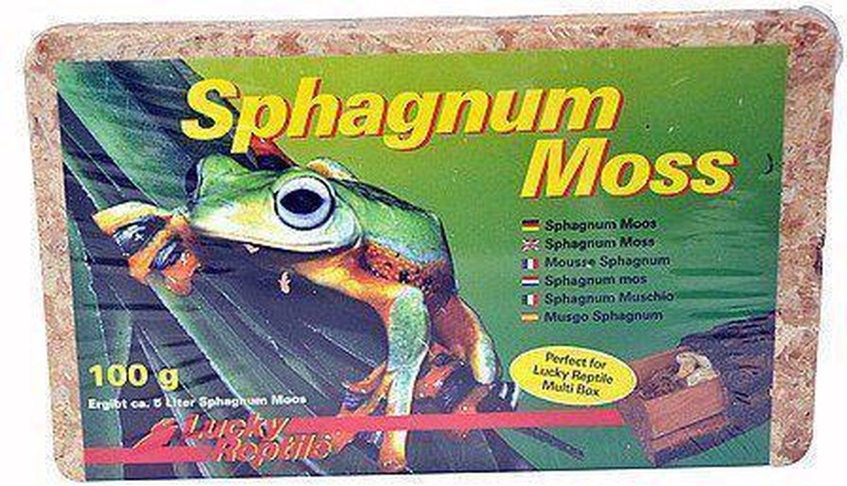 Lucky Reptile Natuurlijke decoratie SM-100