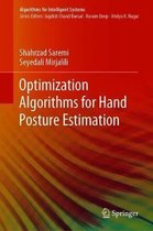 Optimization Algorithms for Hand Posture Estimation