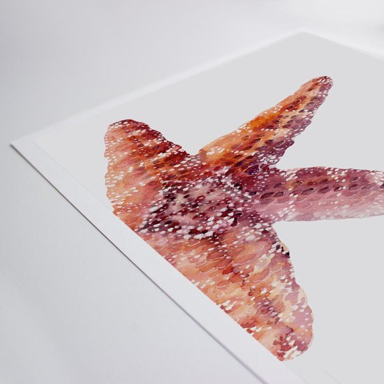 Fabrikten Poster - Plage - Étoile de Mer - Crème/ Oranje/Rouge - A4