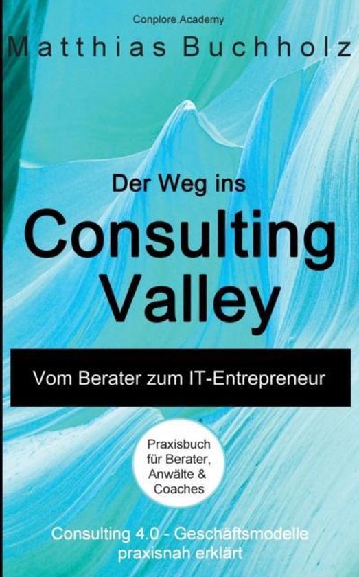Der Weg ins Consulting Valley - cover