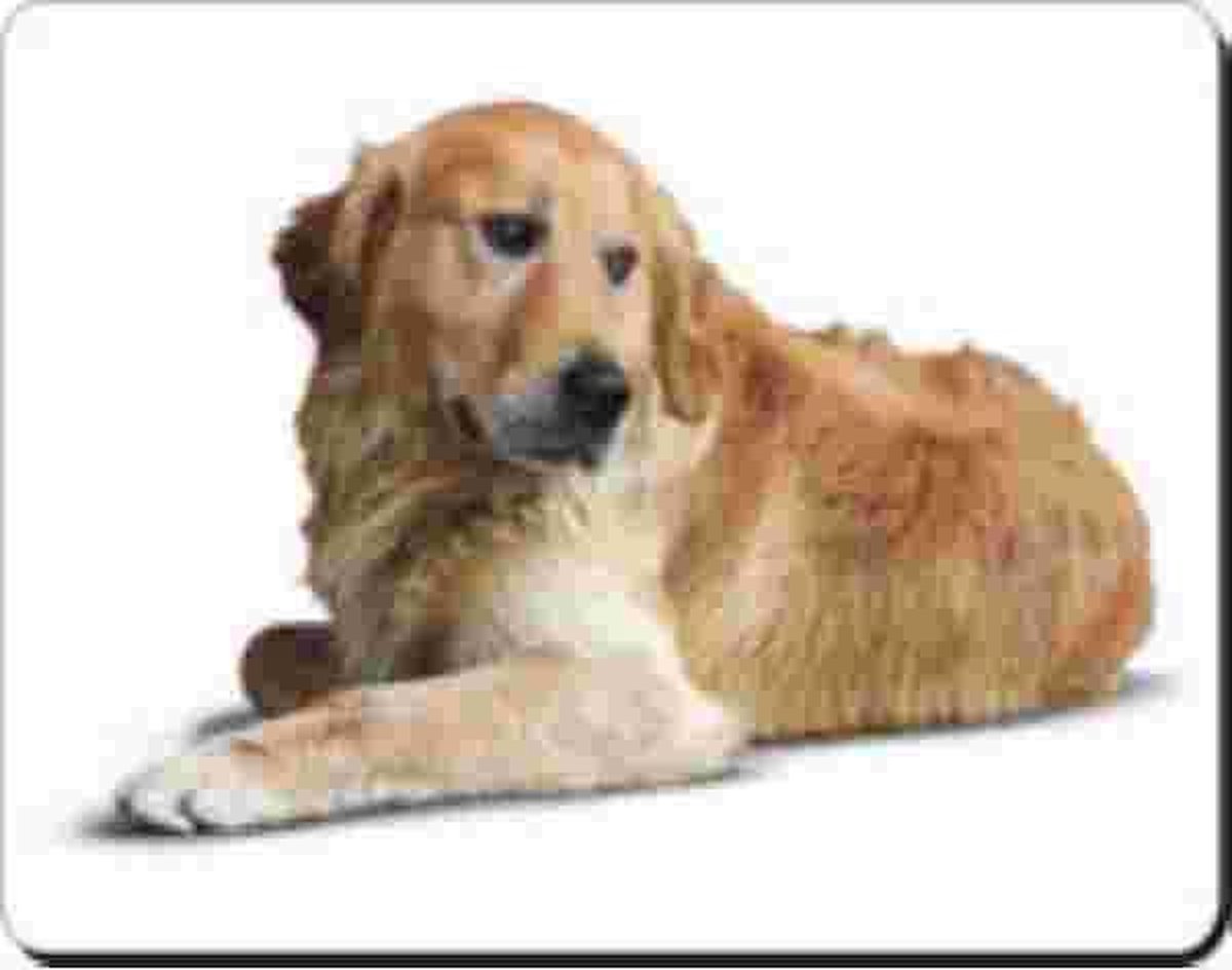 Golden Retriever Liggend Muismat