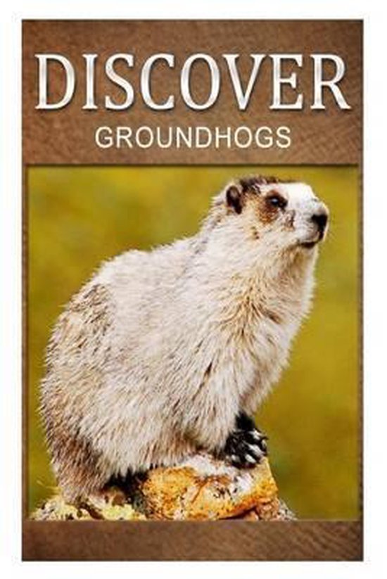 Groundhogs - Discover - cover