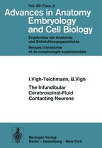 Advances in Anatomy, Embryology and Cell Biology 50/2 - The Infundibular Cerebrospinal-Fluid Contacting Neurons