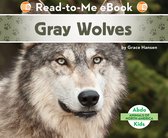Animals of North America - Gray Wolves