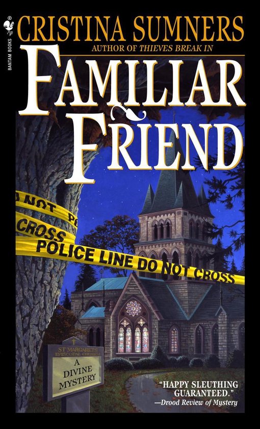 Divine Mystery 3 - Familiar Friend - cover