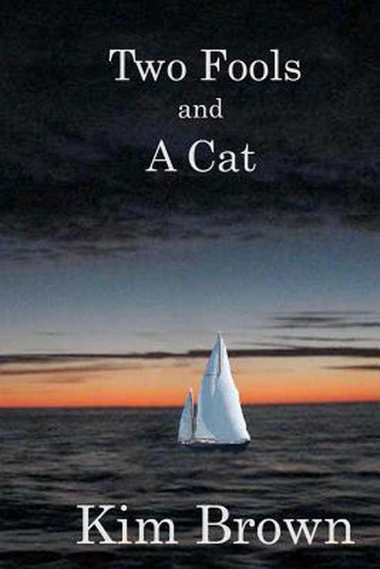 Two Fools And A Cat - cover