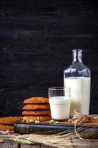 Diet Notebook - Best Notebook with Quotes, Perfect 120 Lined Pages #10