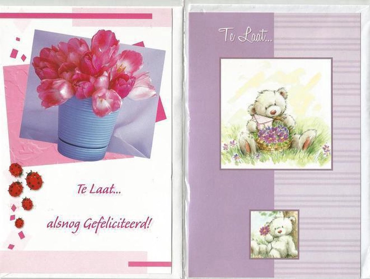 Wenskaart Te Laat 8 stuks