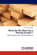 What Do We Mean by a "Strong Europe"?