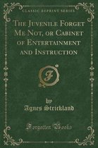 The Juvenile Forget Me Not, or Cabinet of Entertainment and Instruction (Classic Reprint)