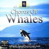 Chorus Of Whales