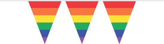 5x Vlaggenlijn Regenboog (10M)