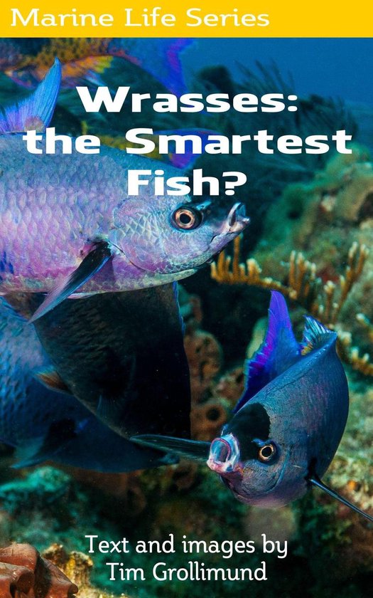 Marine Life 18 - Wrasses: the Smartest Fish? - cover