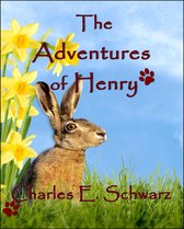 The Adventures of Henry