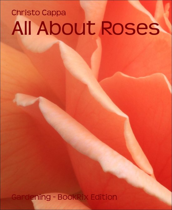 All About Roses - cover