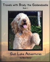 Travels with Brody the Goldendoodle Book 1 Gull Lake Adventures