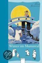Winter Im Mumintal
