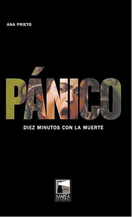 Ficciones reales - Pánico - cover