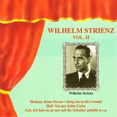 Wilhelm Strienz Vol.ii